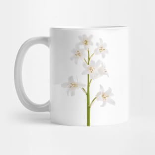 White bluebell Mug